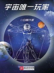 宇宙唯一玩家封面