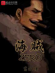 海贼ZERO封面